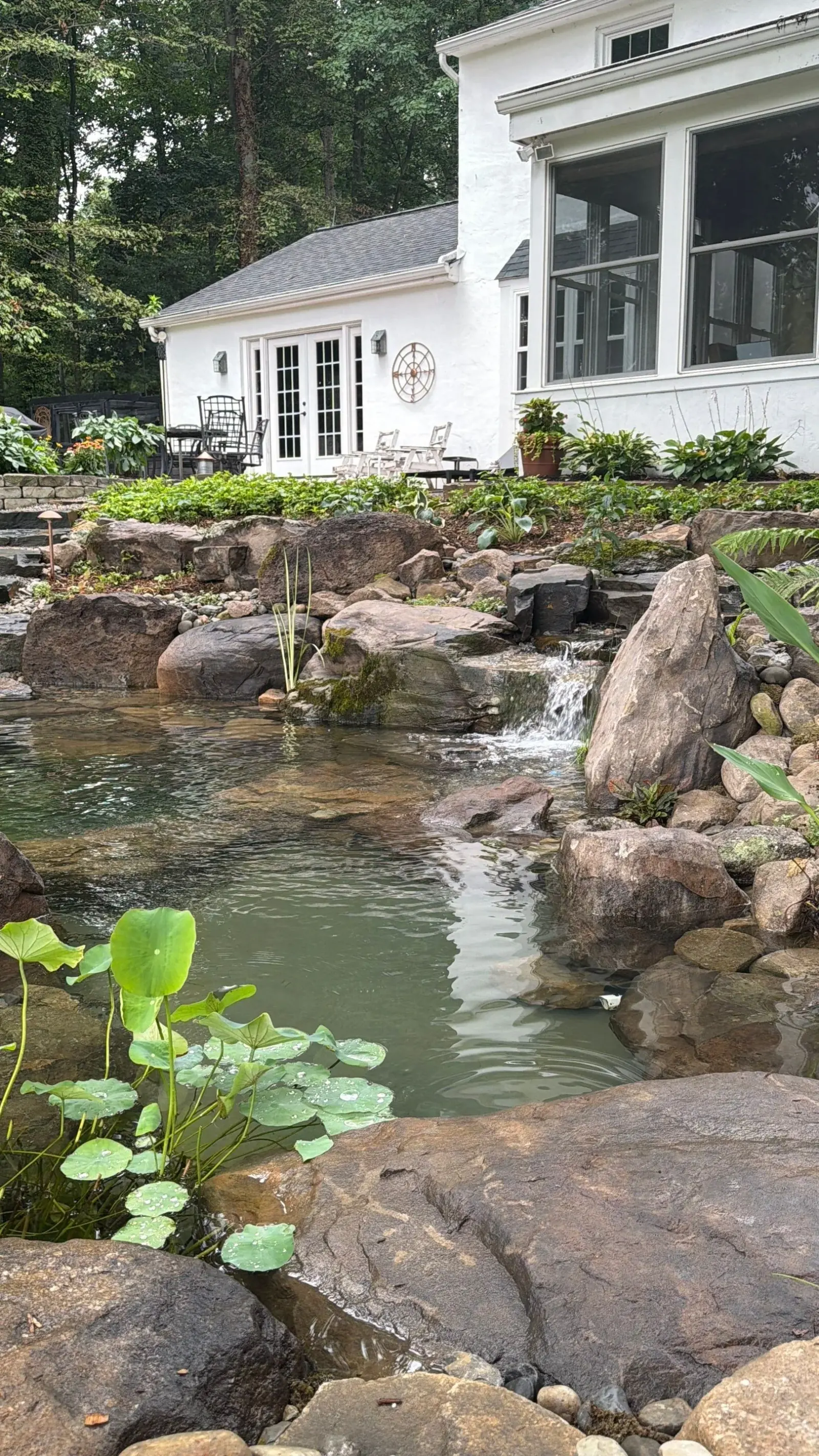 Backyard ecosystem pond with clear water, natural boulders, and a cascading waterfall