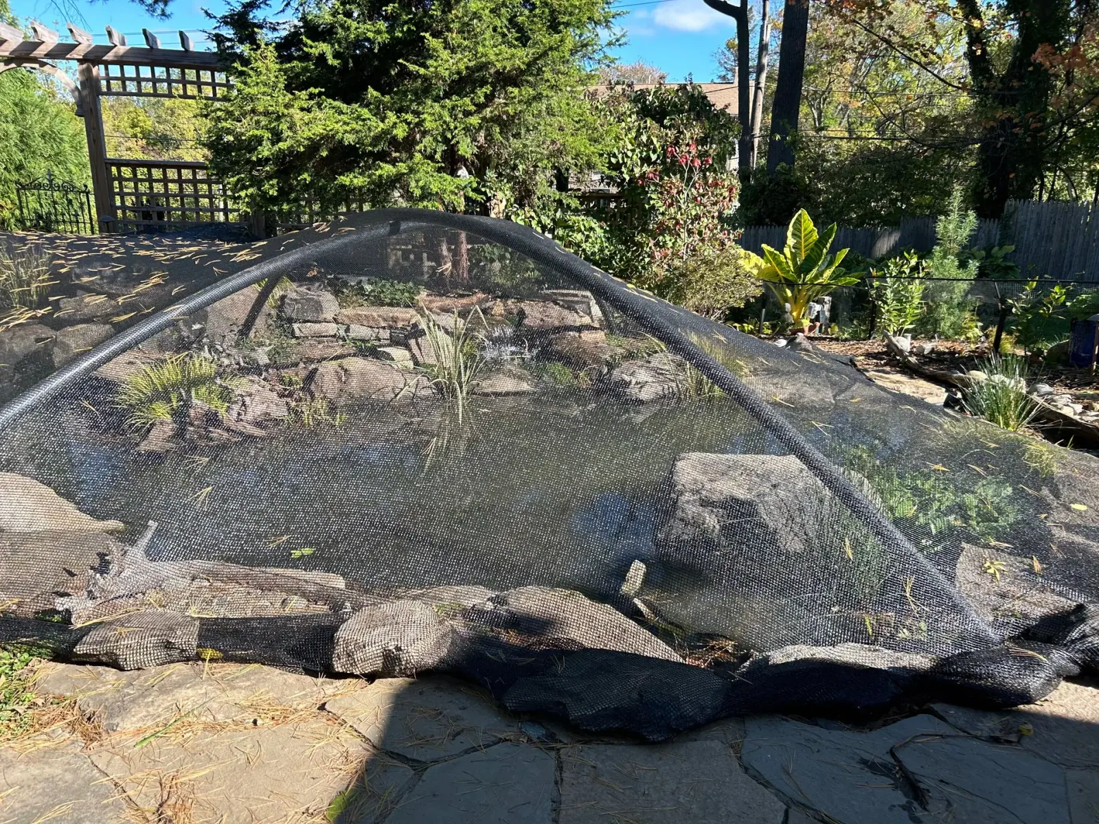 Elevated fall netting protecting a natural stone pond from seasonal debris