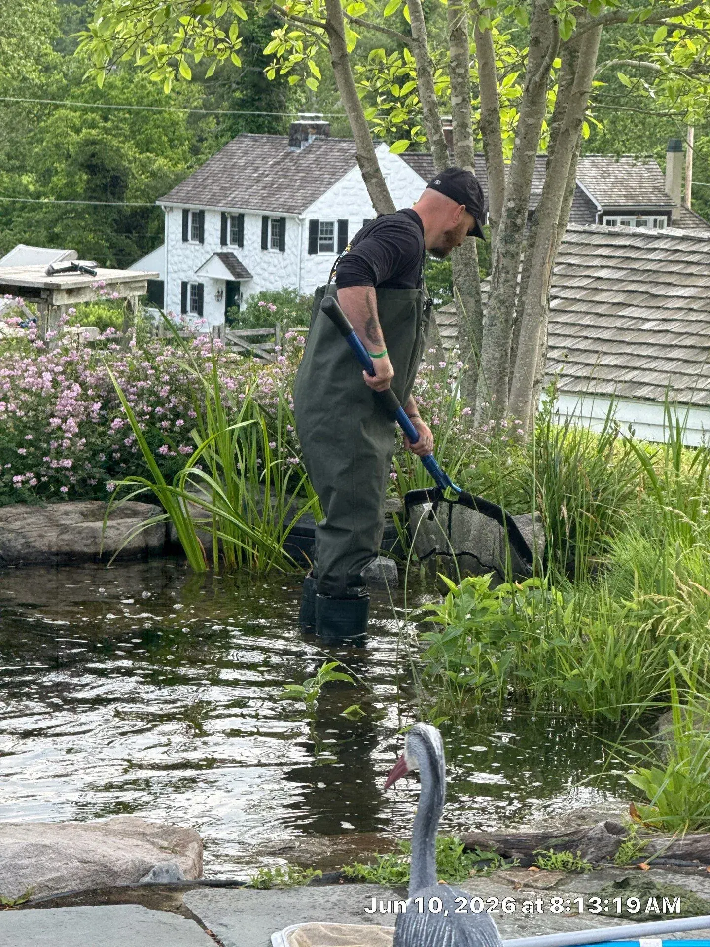 Rock Water Ponds technician providing scheduled maintenance for a planted backyard pond