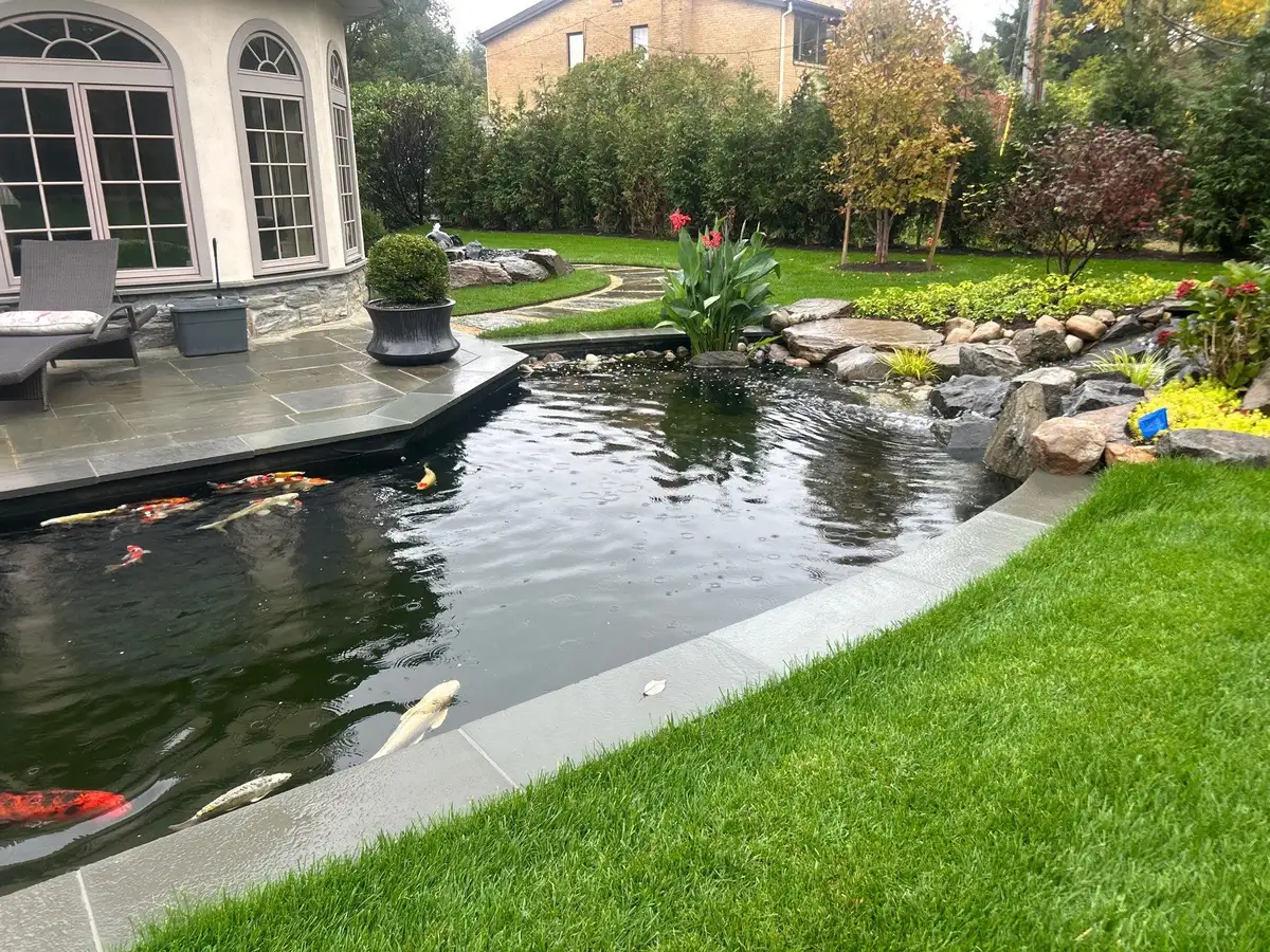 Maintained koi pond with clear circulating water, aquatic plants, and a stone-edged waterfall