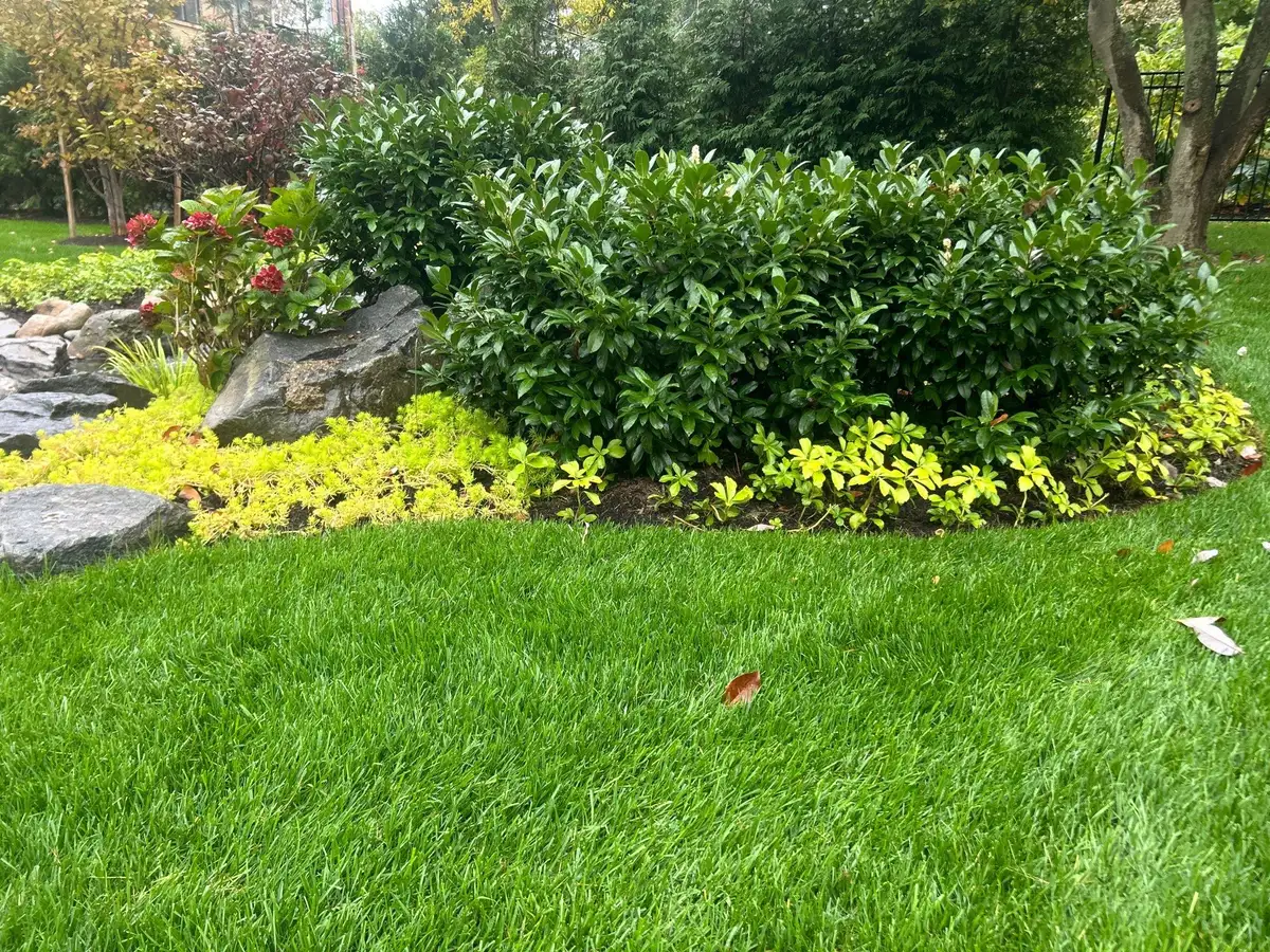 Natural stream and pond water movement