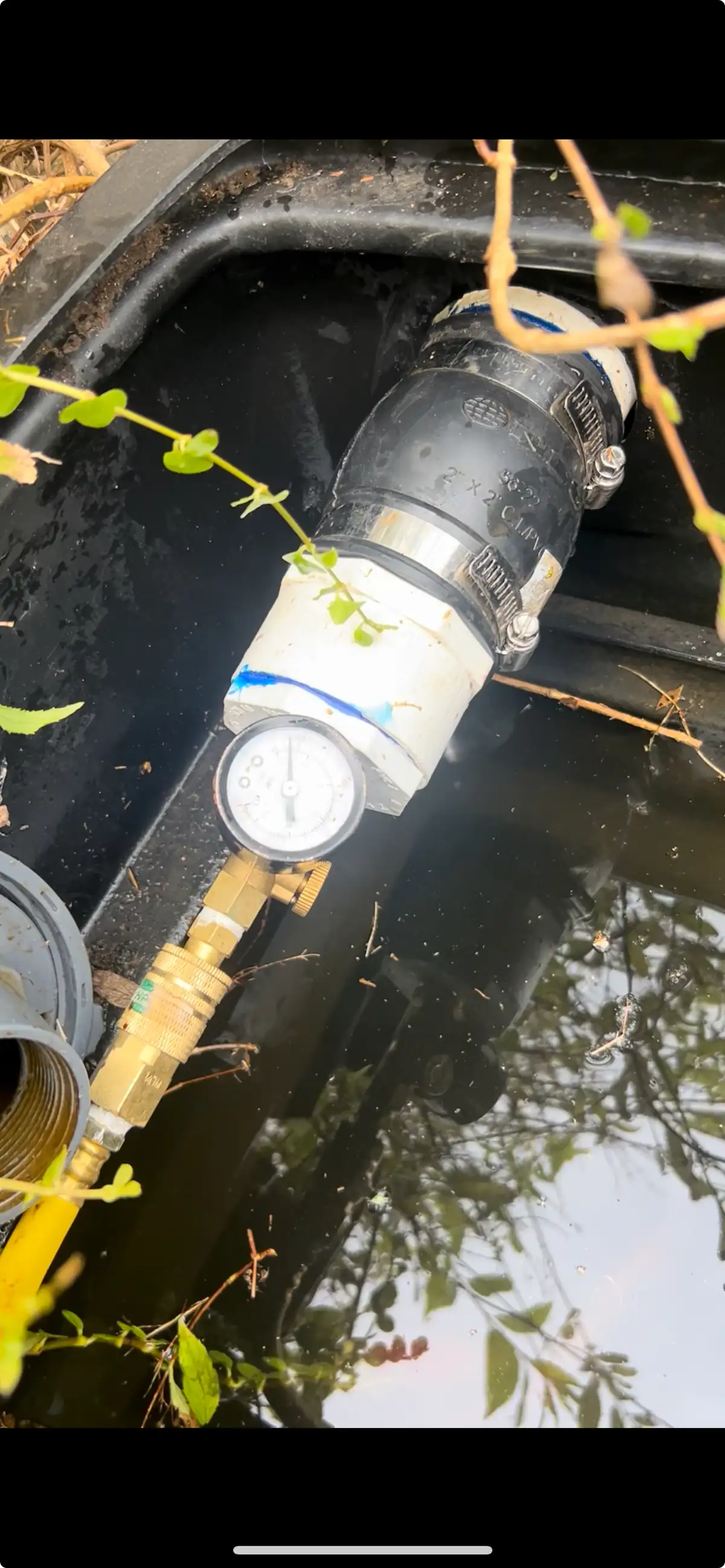 Pond edge and waterline reviewed during diagnostics