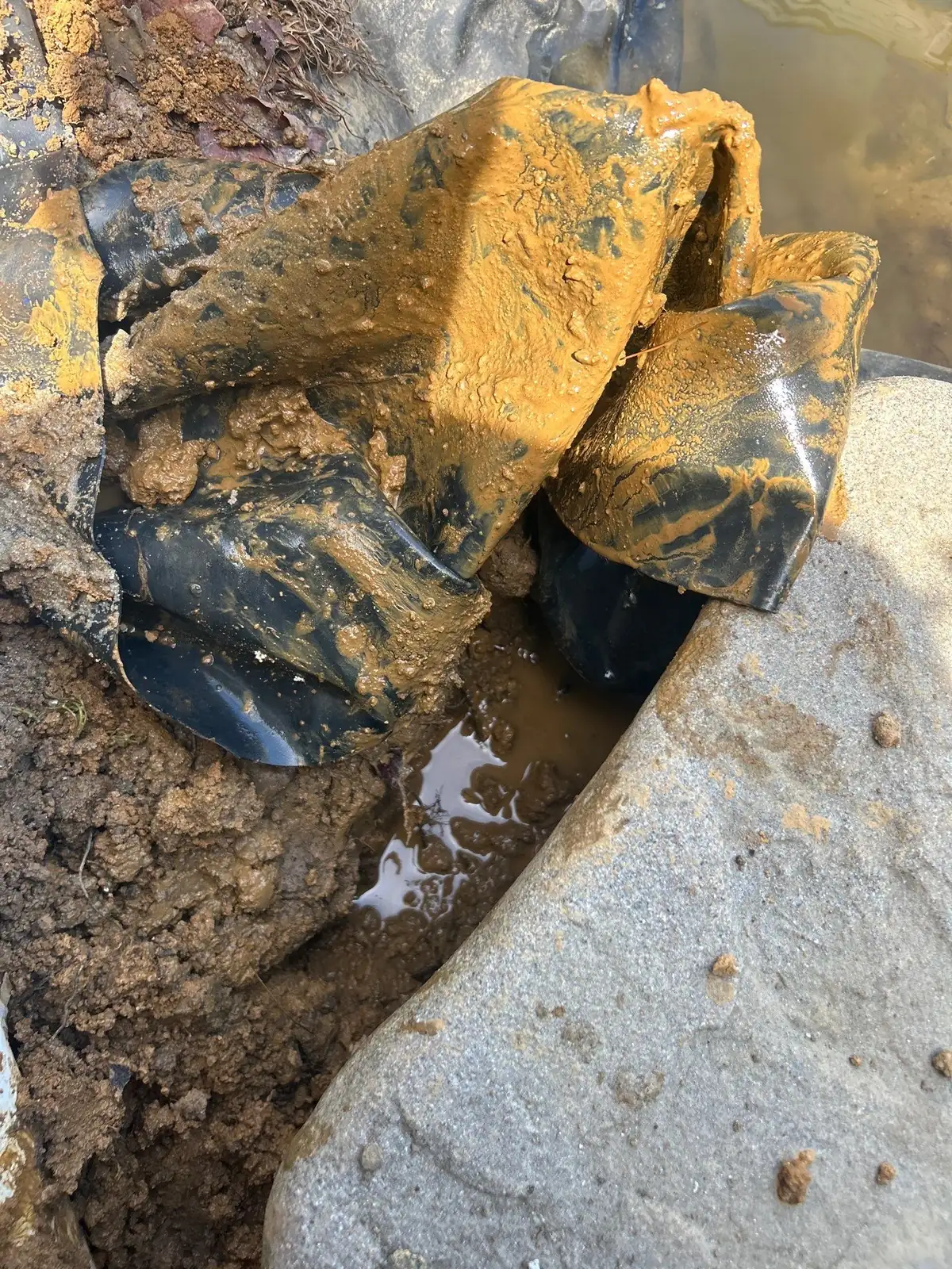 Pond edge and waterfall being checked for water loss