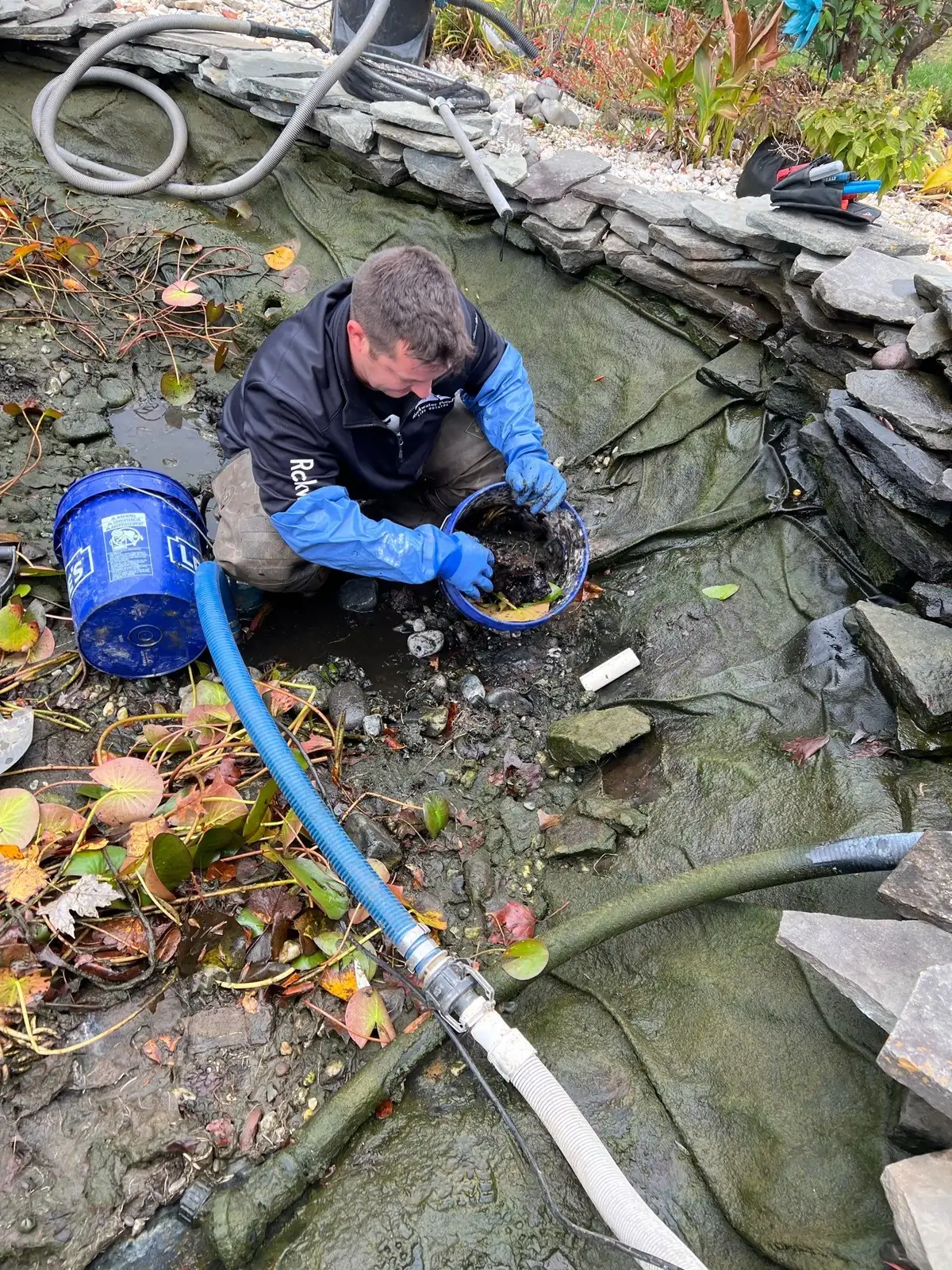 Professional fish relocation during pond cleanout in Delaware