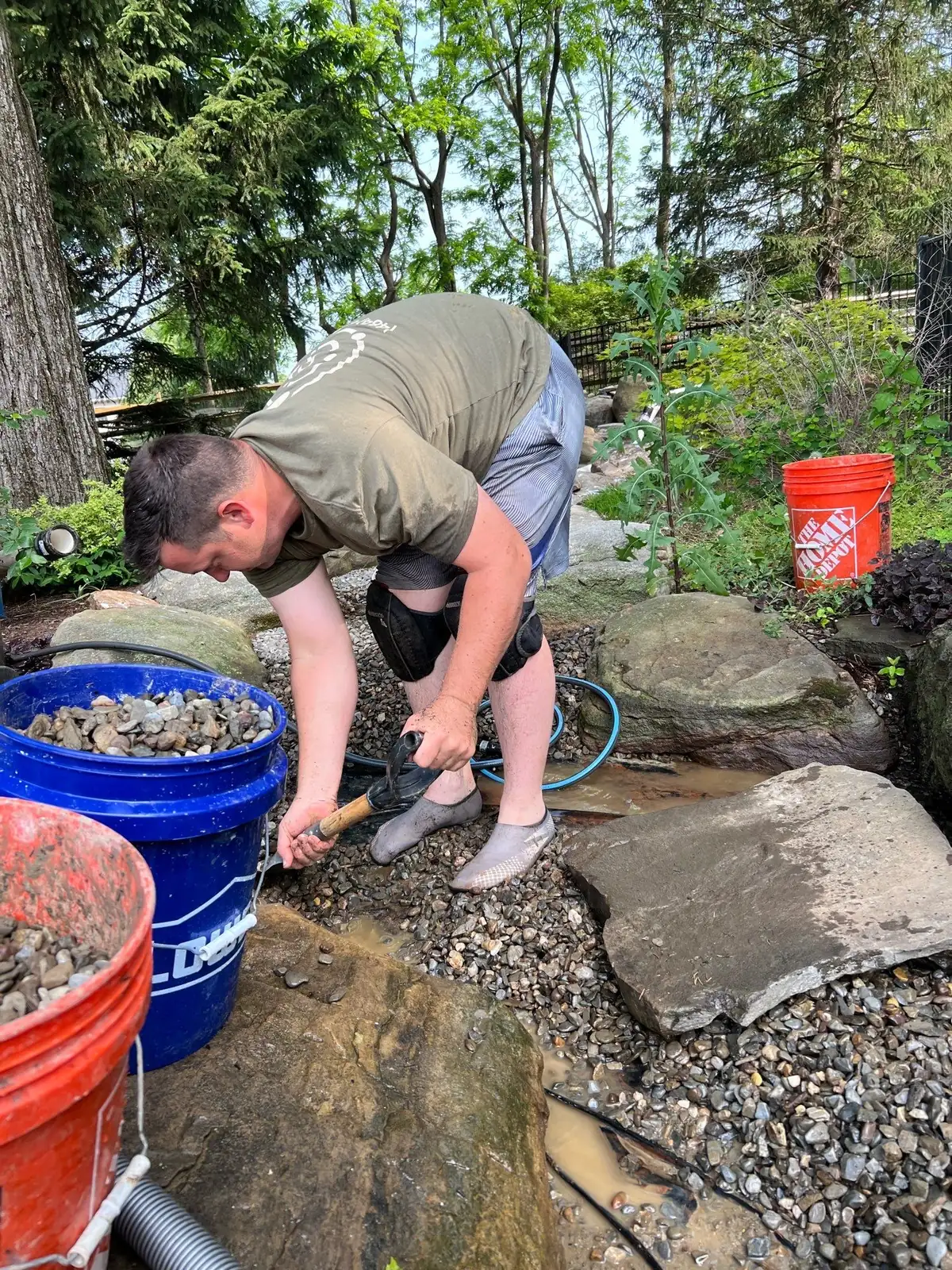 Koi being carefully netted during professional fish relocation