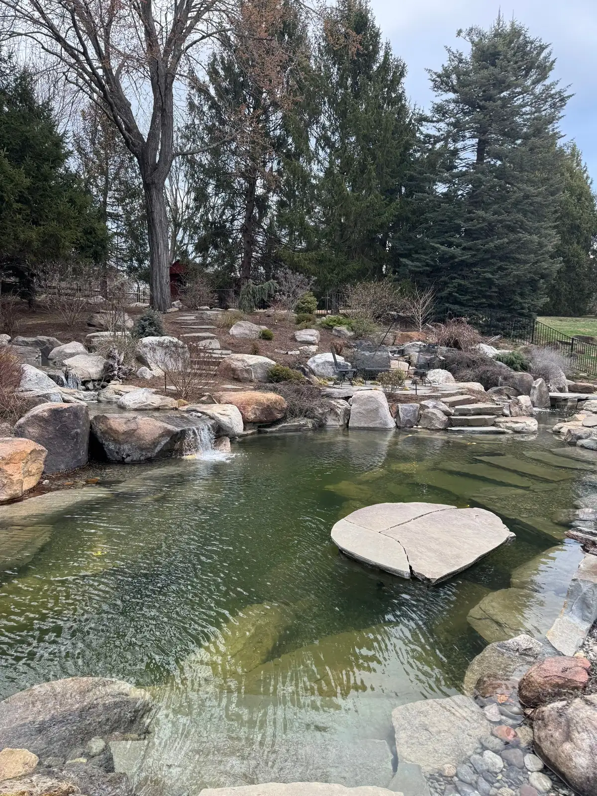 Ecosystem pond with natural boulders, waterfall, and aquatic plants
