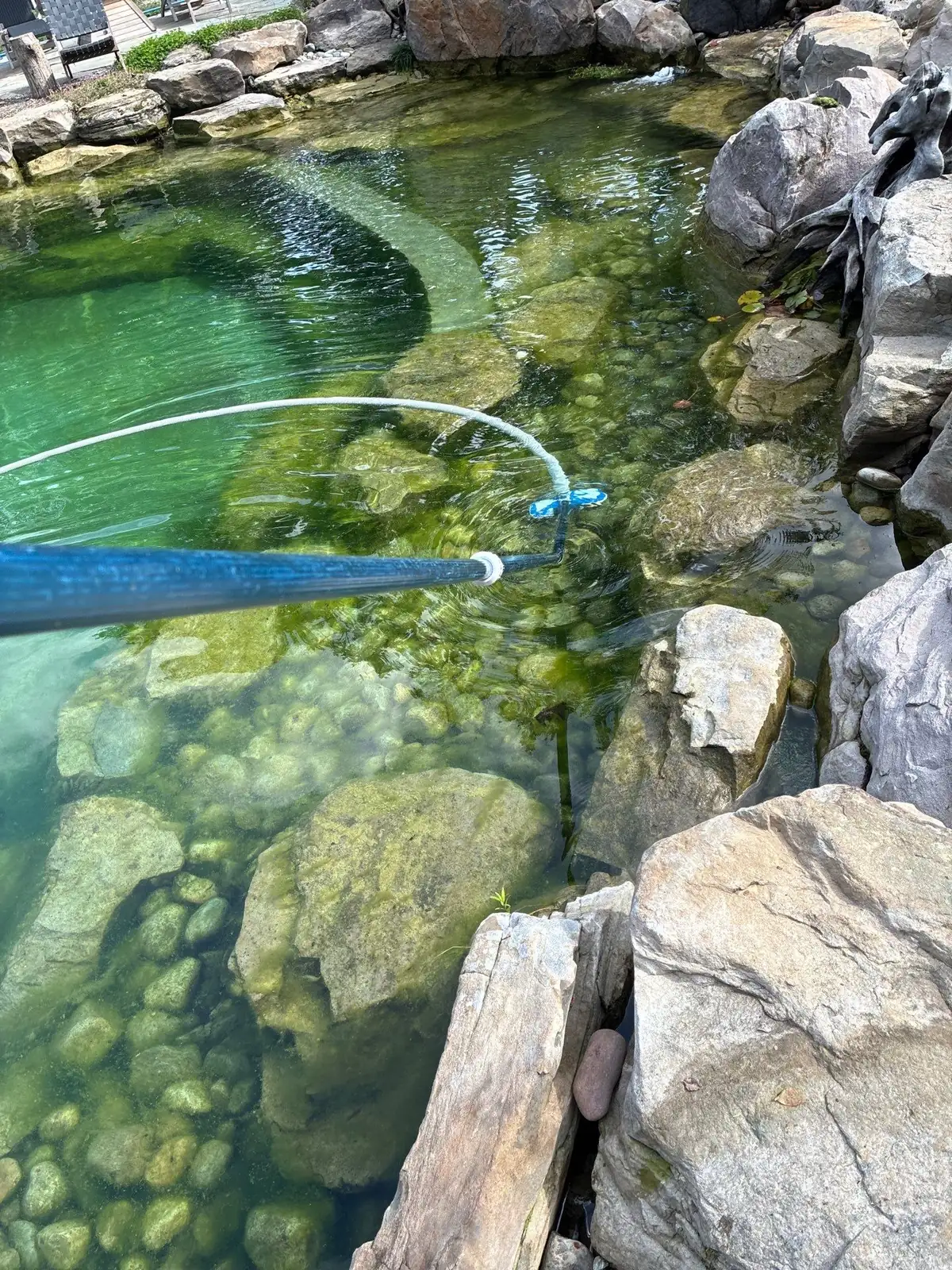 Pond maintenance net removing debris from clear water between natural stones