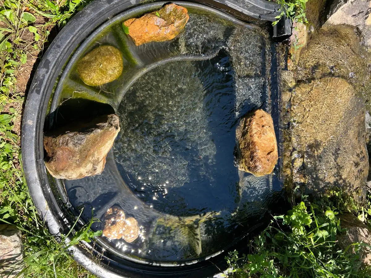 Pond maintenance crew working around a backyard water feature