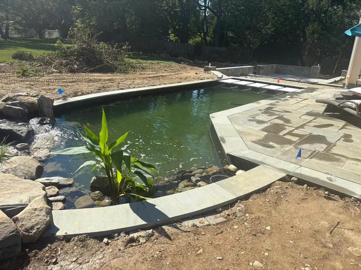 Backyard pond with a waterfall, aquatic plants, and moving water